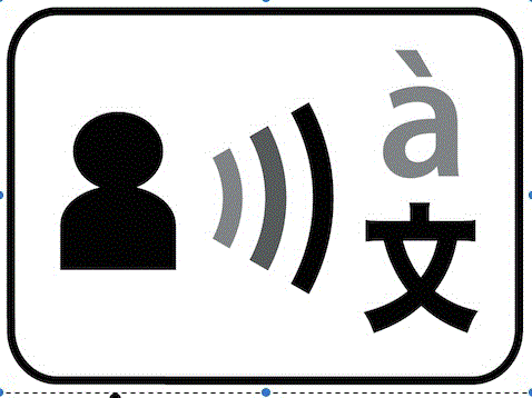 Language Access Services